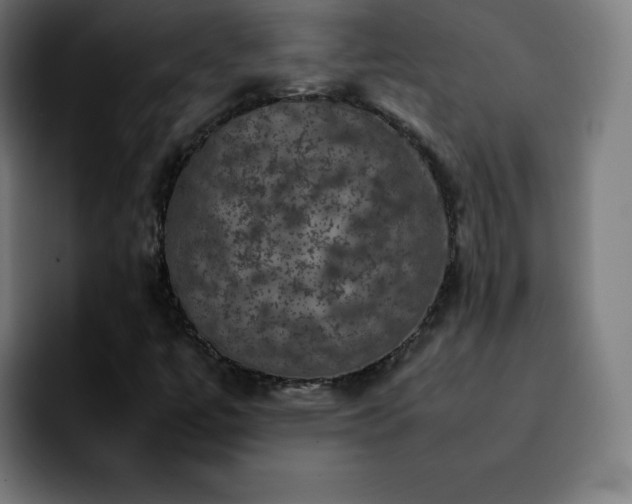 X0000092221447200709210959