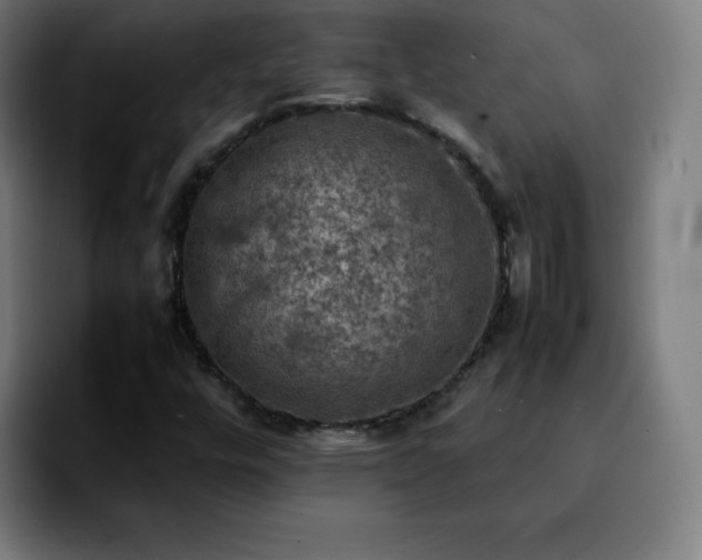 X0000092221448200709210959