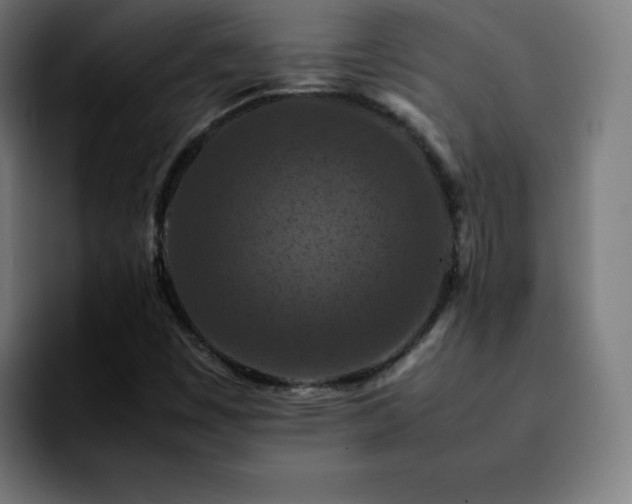 X0000092221449200709210959