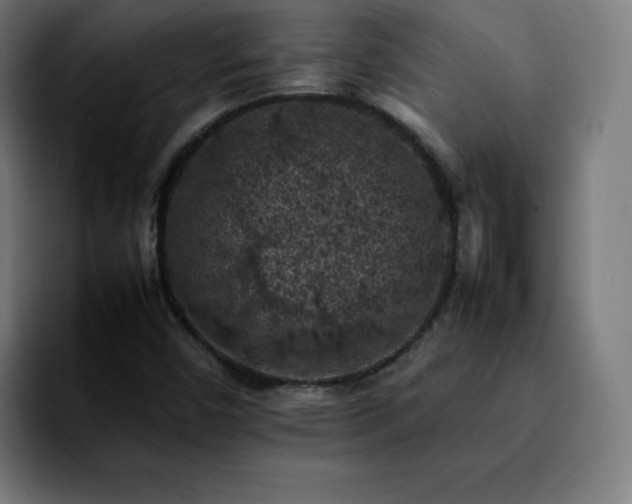 X0000092221450200709210959
