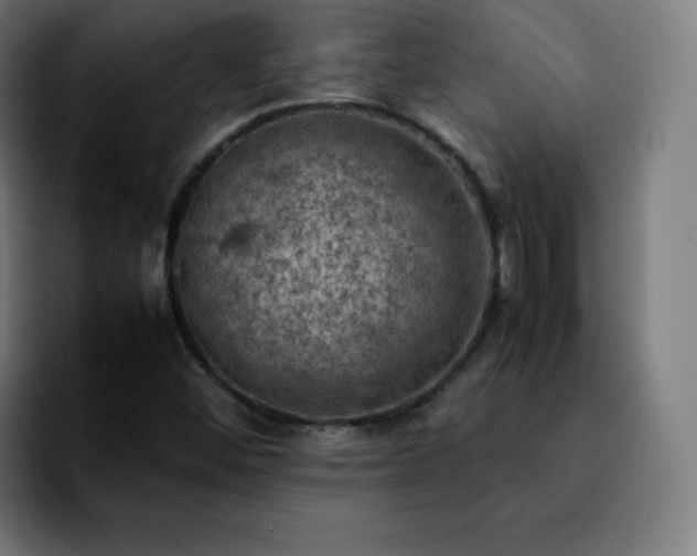 X0000092221452200709210959