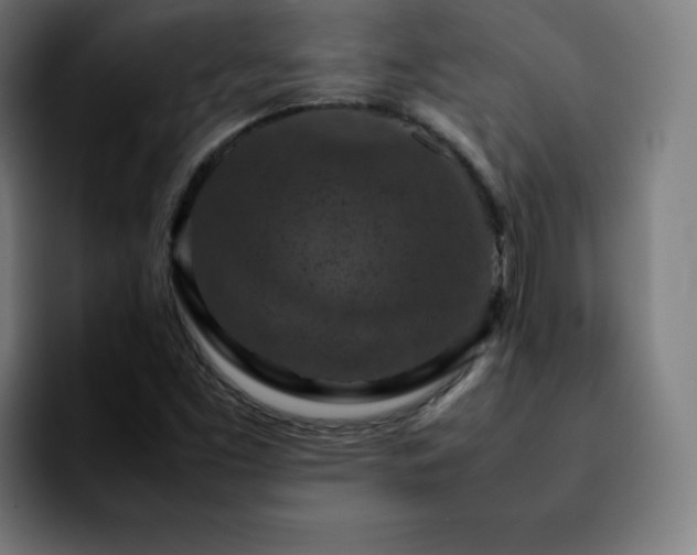 X0000092221453200709210959