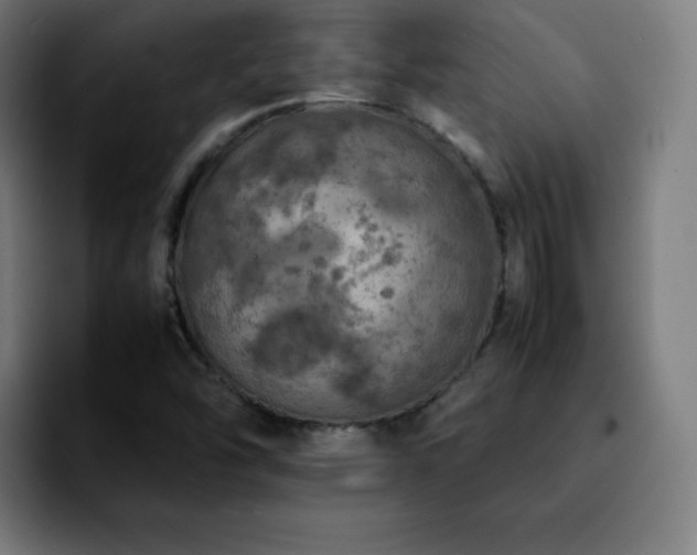 X0000092221454200709210959