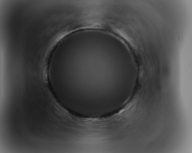 X0000092221455200709210959