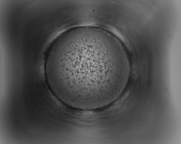 X0000092221456200709210959