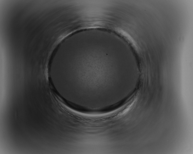 X0000092221457200709210959
