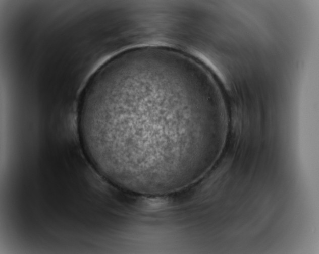 X0000092221460200709210959