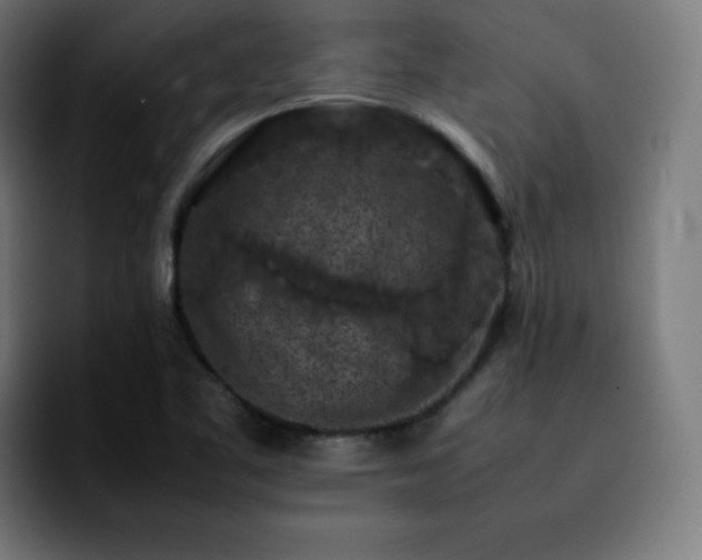 X0000092221461200709210959
