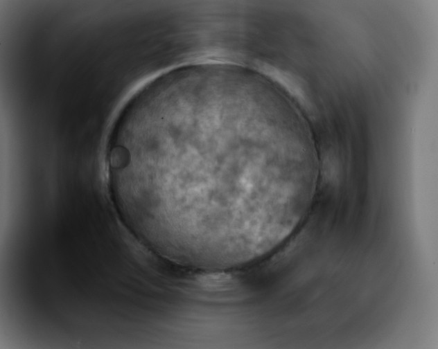 X0000092221462200709210959