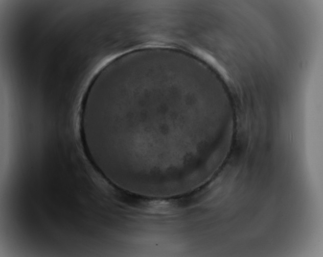 X0000092221463200709210959