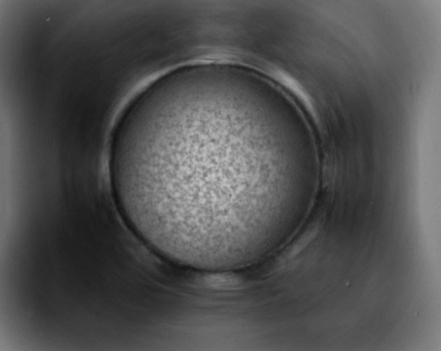 X0000092221464200709210959