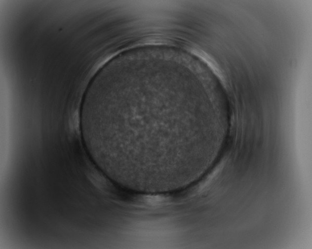X0000092221465200709210959