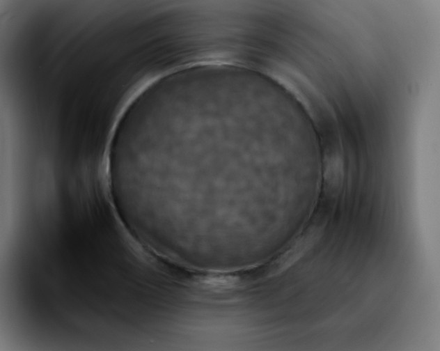 X0000092221466200709210959