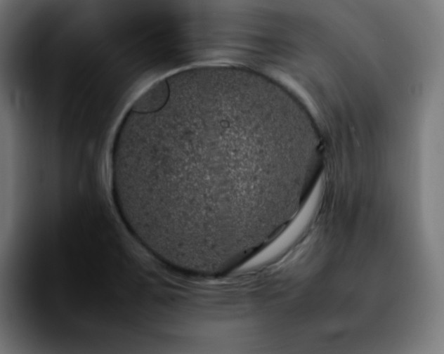 X0000092221467200709210959