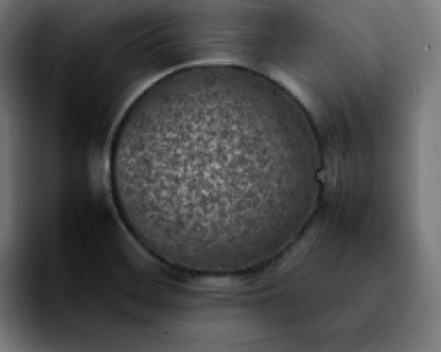 X0000092221468200709210959