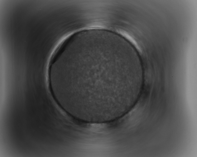 X0000092221469200709210959