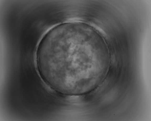 X0000092221470200709210959