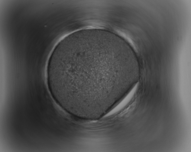 X0000092221471200709210959