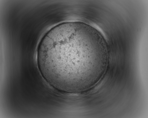 X0000092221472200709210959