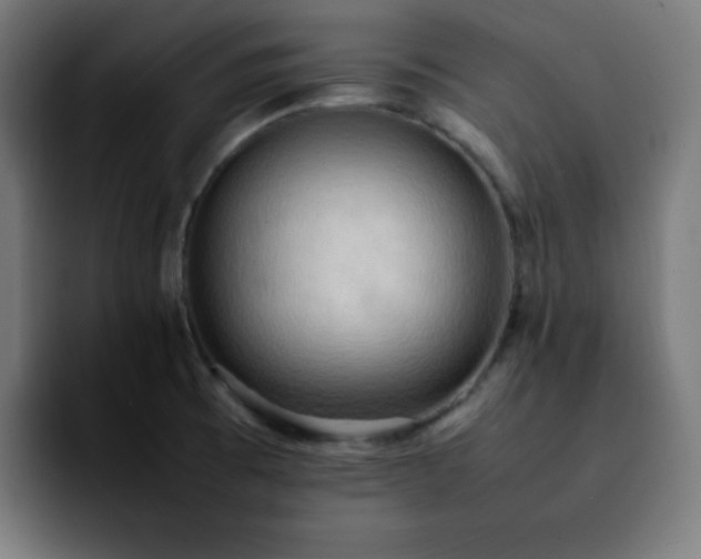 X0000092221473200709210959