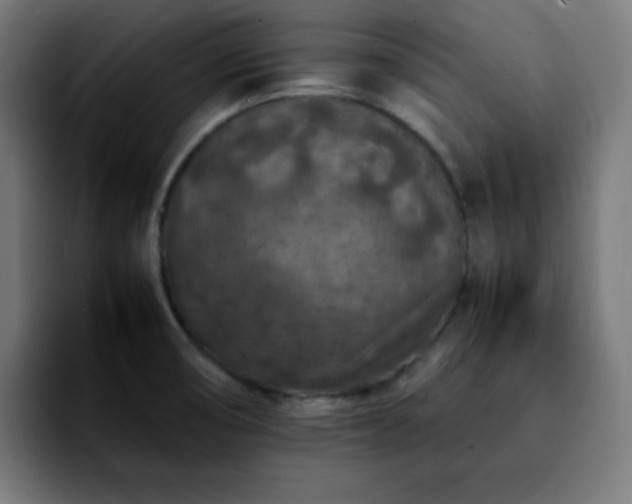 X0000092221474200709210959