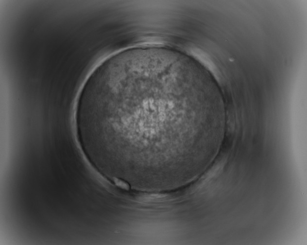 X0000092221475200709210959