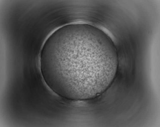 X0000092221476200709210959