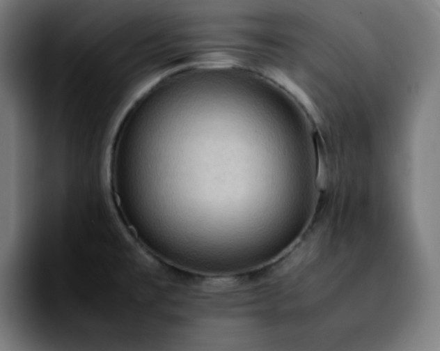 X0000092221477200709210959