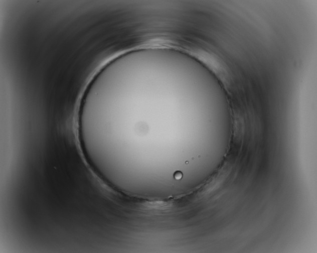 X0000092221478200709210959