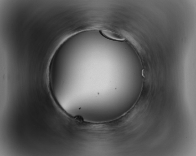 X0000092221479200709210959