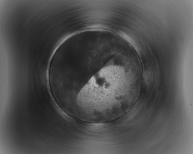 X0000092221482200709210959