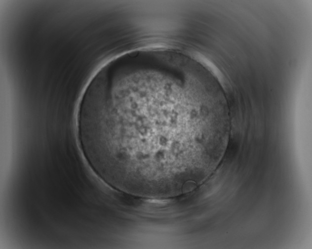 X0000092221483200709210959