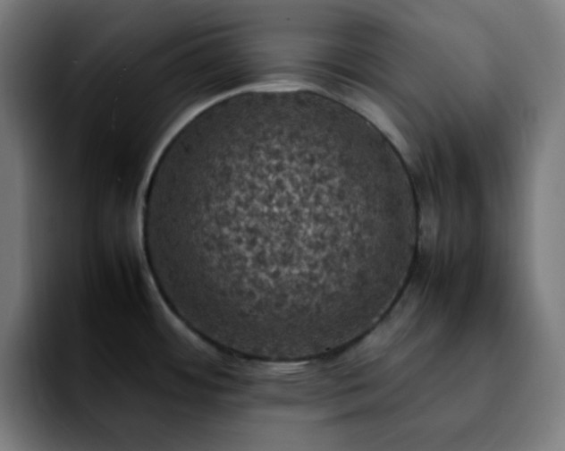 X0000092221484200709210959