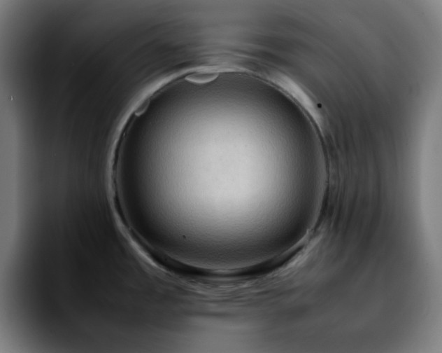 X0000092221485200709210959