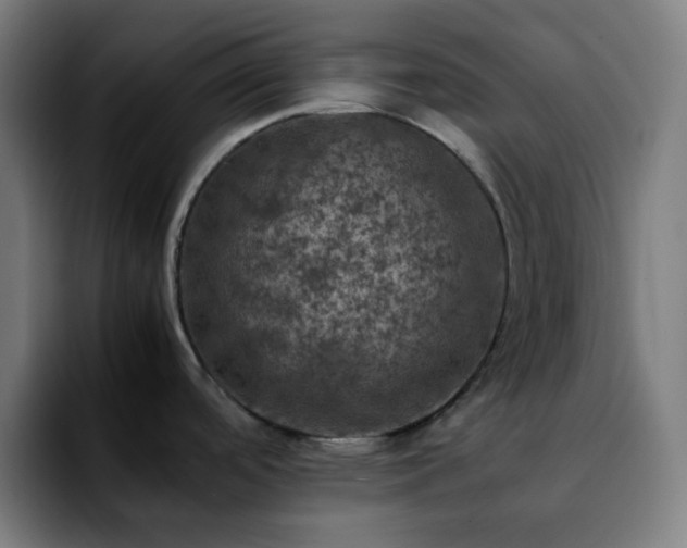 X0000092221488200709210959