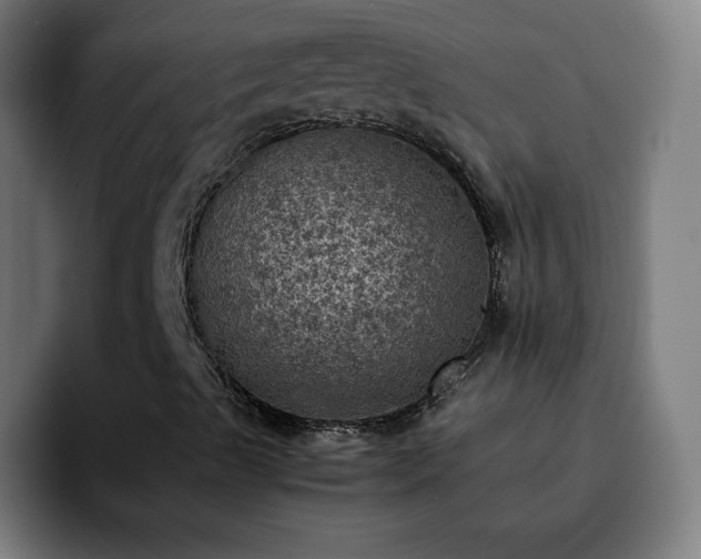 X0000092221489200709210958