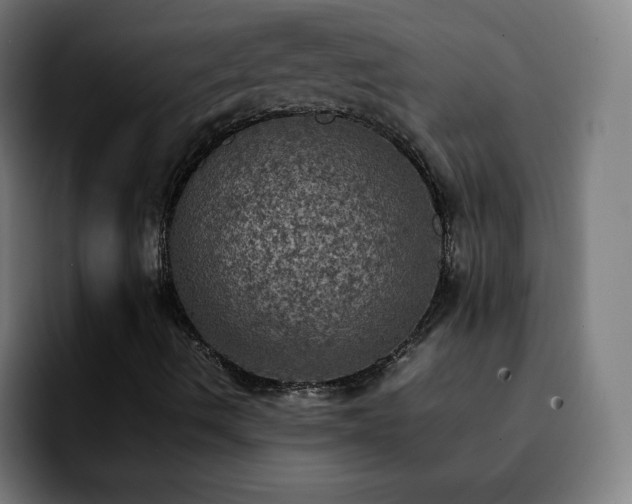 X0000092221490200709210958