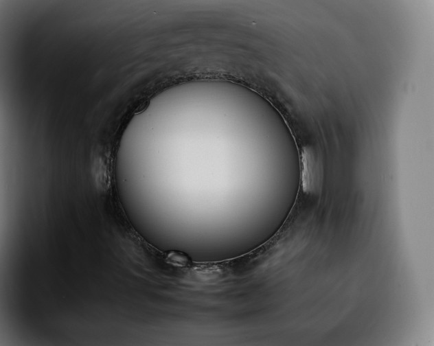 X0000092221491200709210958