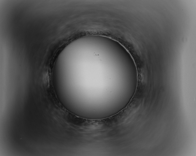 X0000092221493200709210958