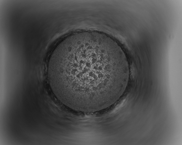 X0000092221494200709210958