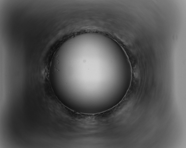 X0000092221495200709210958