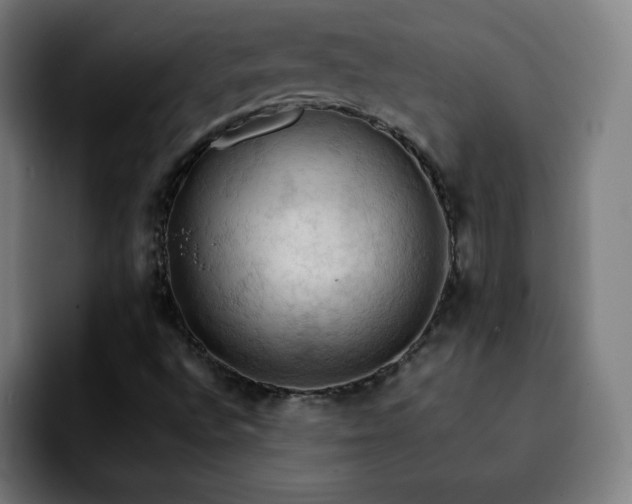 X0000092221496200709210958