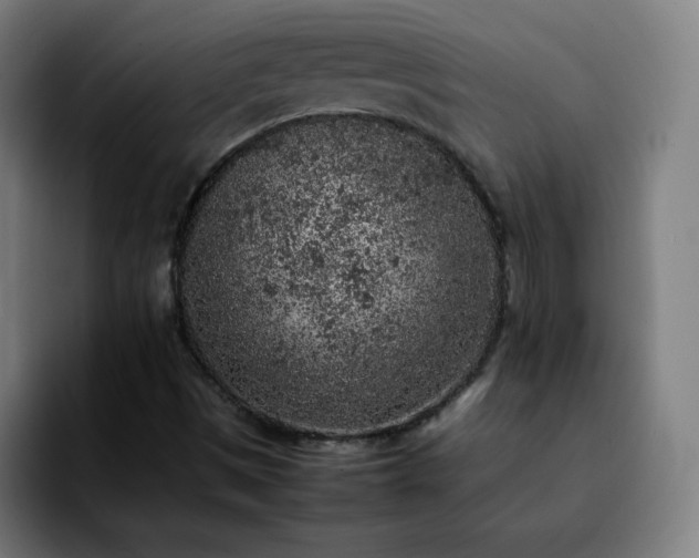 X0000092221497200709210958