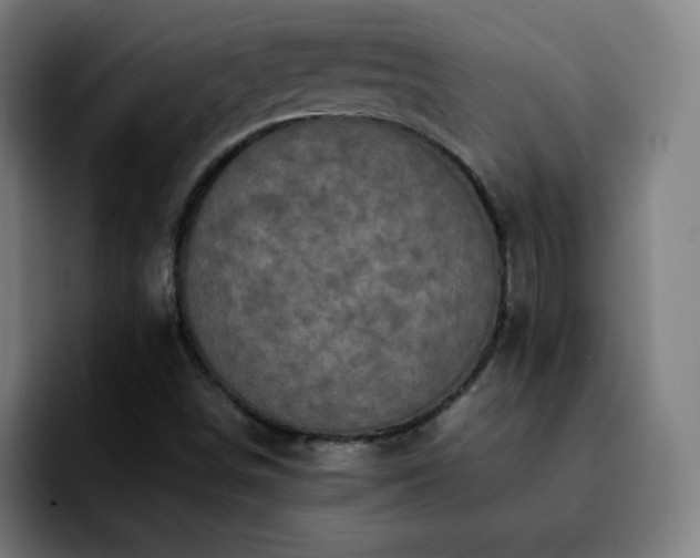 X0000092221498200709210958