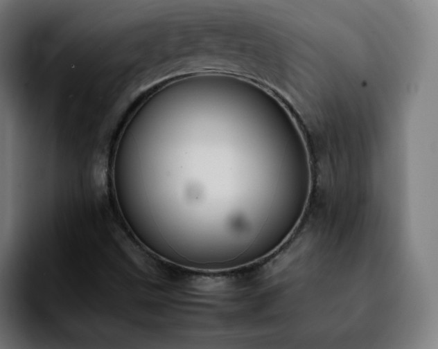 X0000092221499200709210958