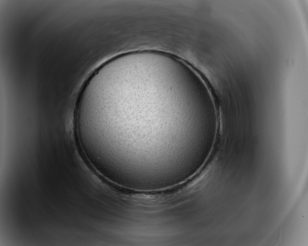 X0000092221500200709210958