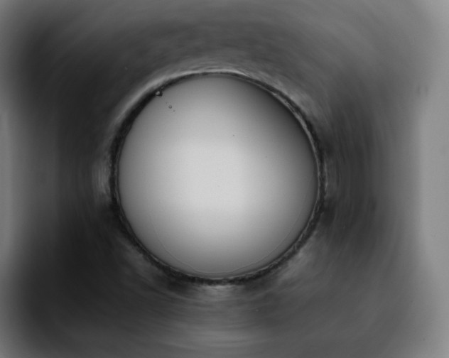 X0000092221502200709210958