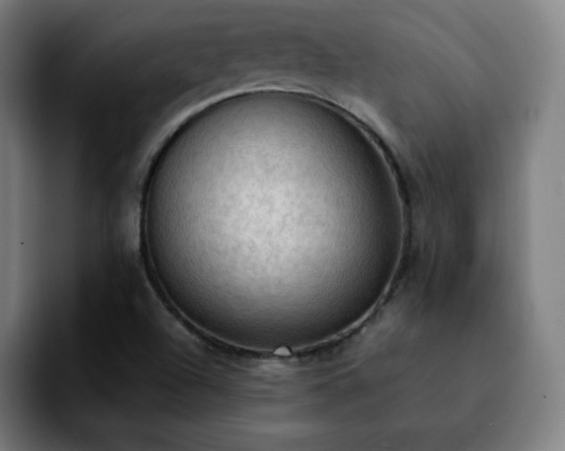 X0000092221504200709210958
