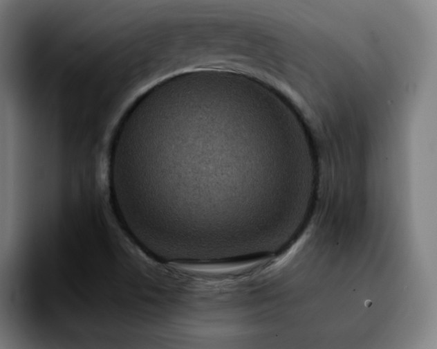 X0000092221506200709210958