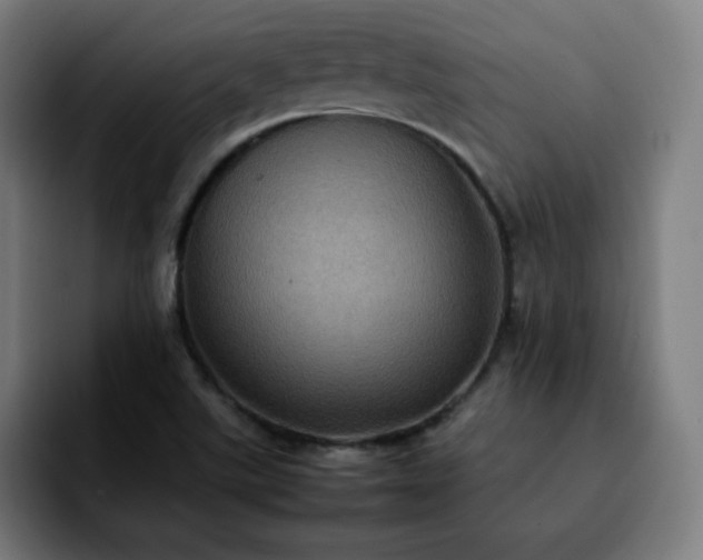 X0000092221507200709210958